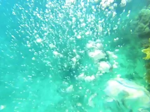 Explore the ocean with Google Maps