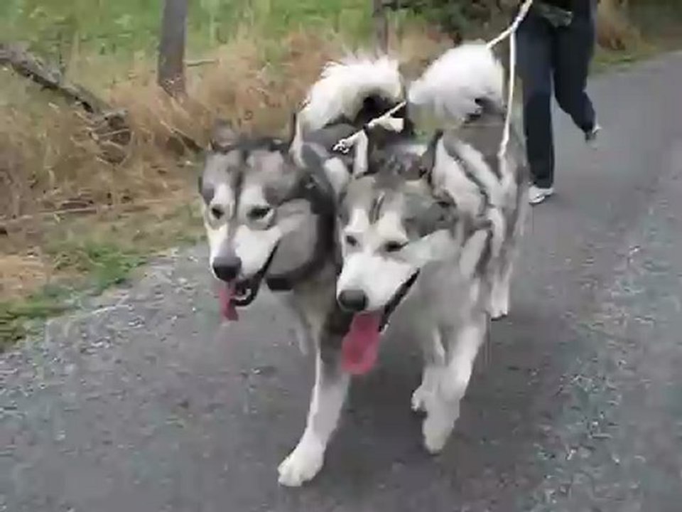 rando à 3 mala (3)
