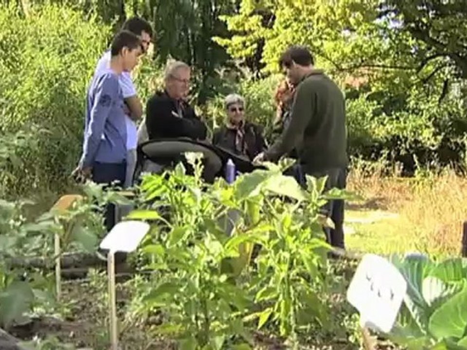 Le jardin de la biodiversité au bout de l'objectif