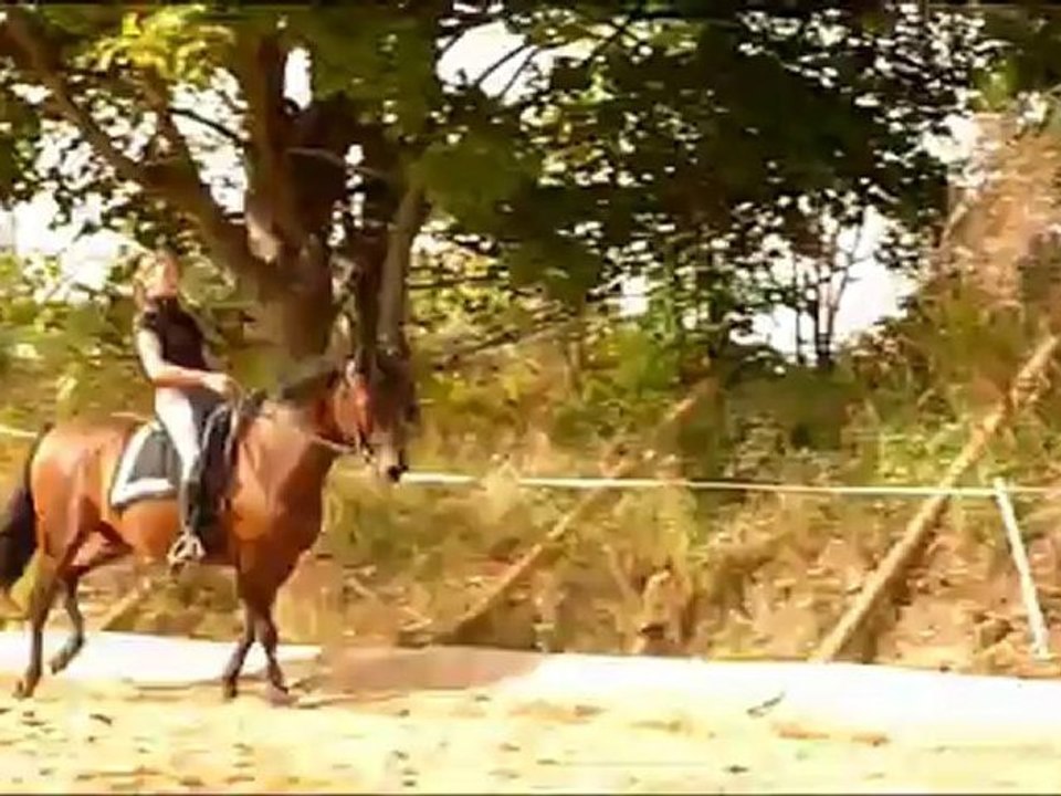 équitation obrizo