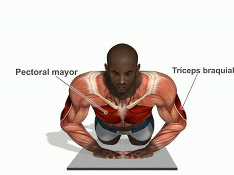 Flexiones diamante ( rodillas apoyadas )