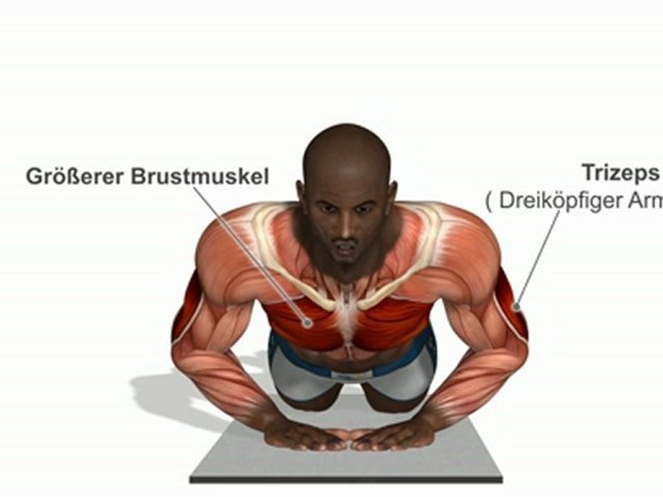 „Diamanten' Liegestütze  auf  Knien