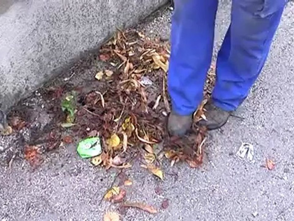 asilo allagato tutti a casa