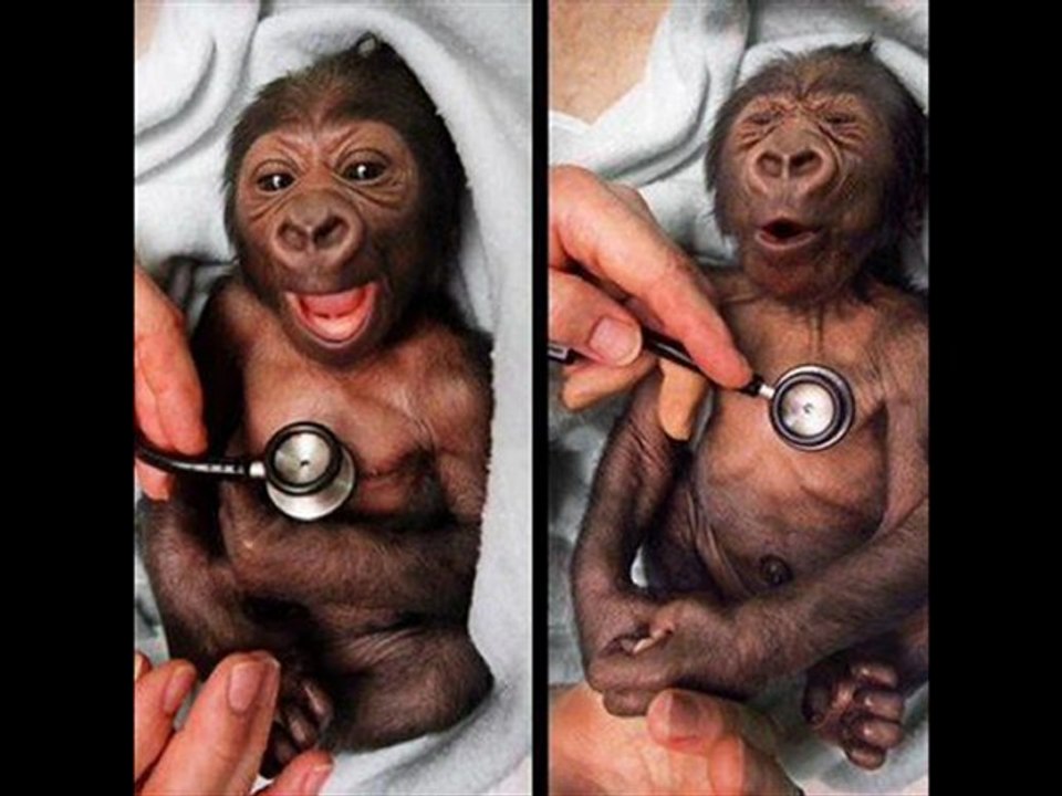 DOKUNMA.84.SEKSEN DÖRT.ORHAN GENCEBAY İLE BİR ÖMÜR 2012