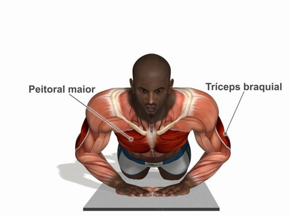 Flexões  "diamante" - ( joelhos apoiados )