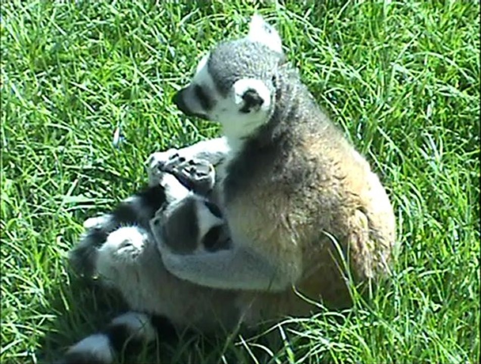 Εκδρομή στη ΡΩΜΗ ( foto )