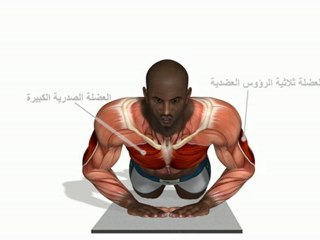 الانحناءات في الركبة -- اليدين على شكل "الماس"