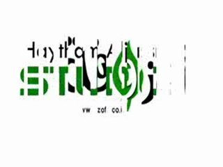 زوفة الموقع البدوي الأول