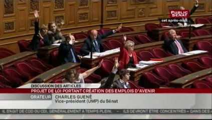 SEANCE,Suite du projet de loi -  Création d'emplois d'avenir