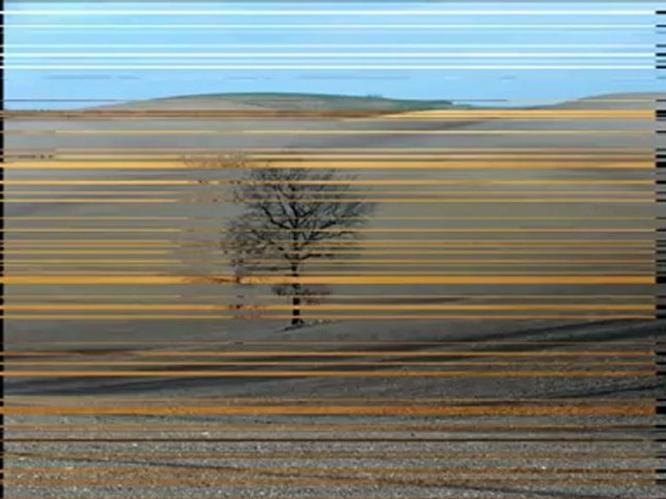 L'Arbre