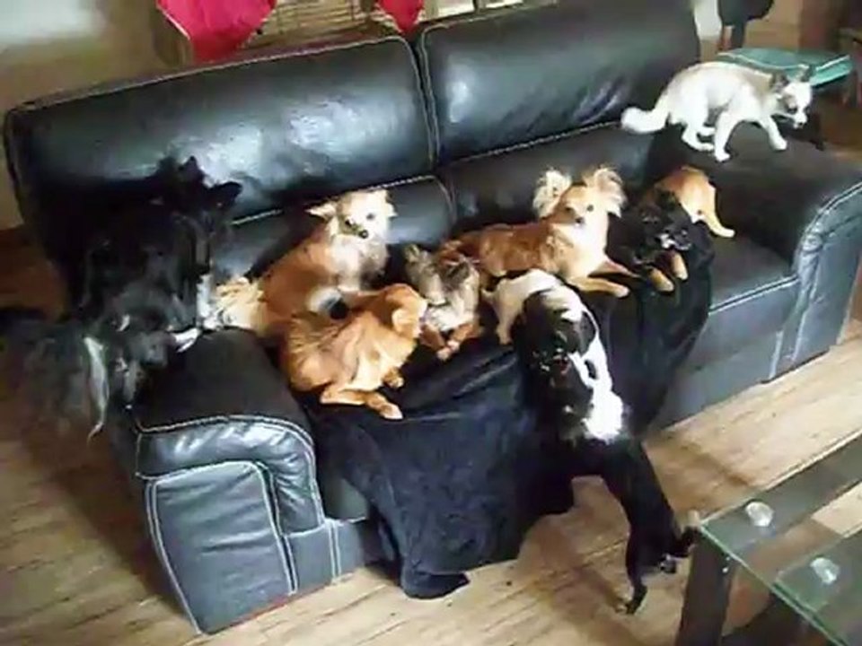 et moi, je dors où ???