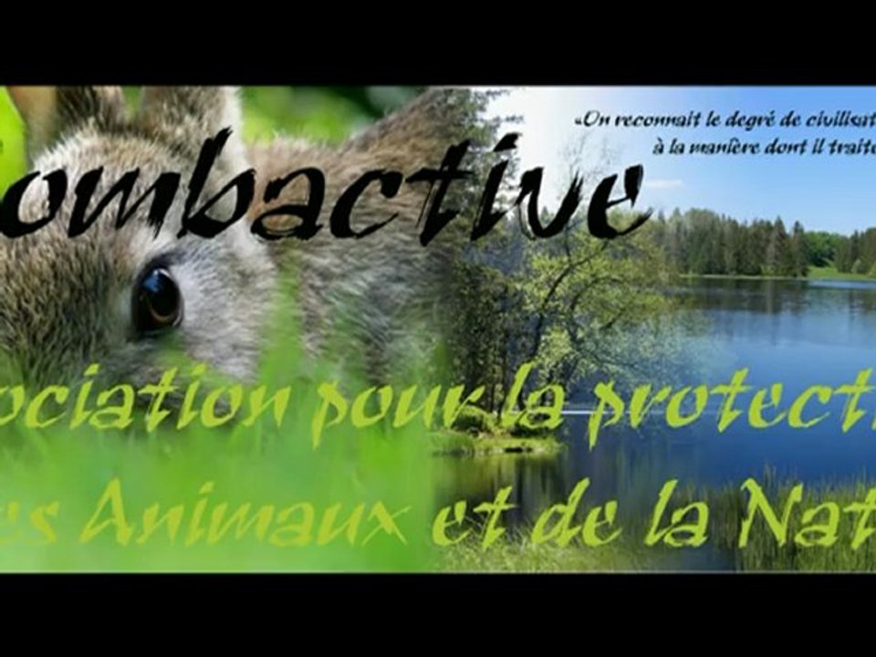 Combactive