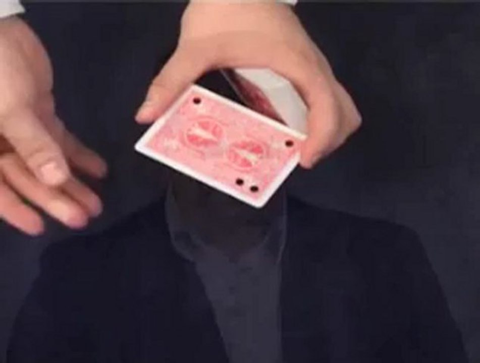 Matrix (includes DVD) by by Mickael Chatelain - Magic Trick