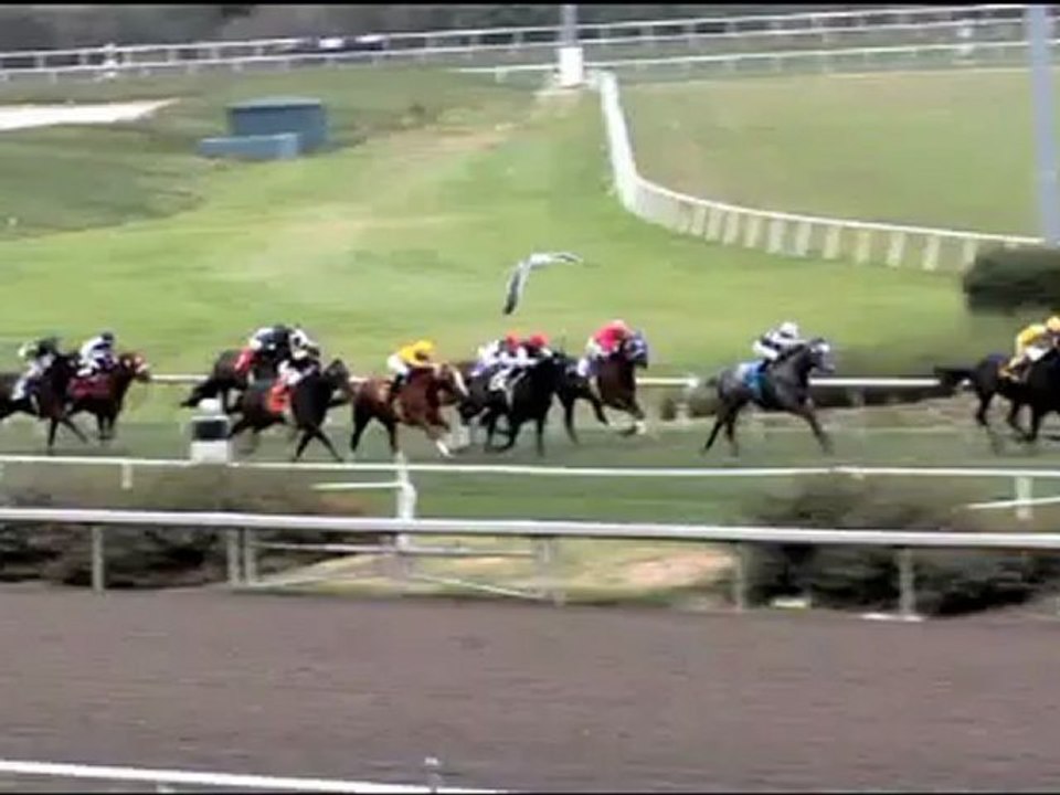 Fast Company (2 DVD Set) by Damian Nieman (DVD) - Magic Trick