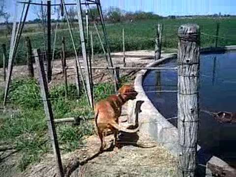 me meto o no me meto?