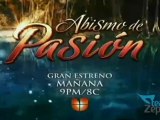 PROMO 16 USA: Abismo de Pasión @davidzepeda1