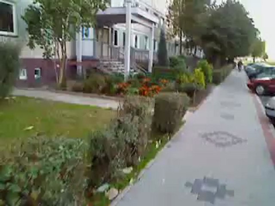 MOV00540