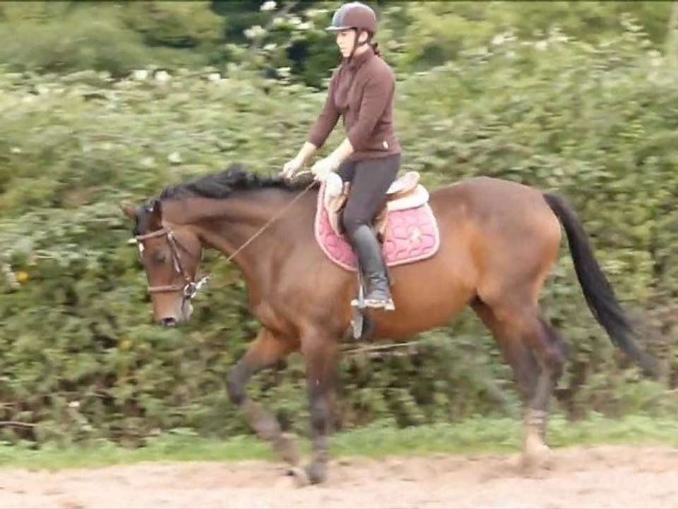Saut reglis 26 sept 2012