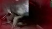 Custom Zombies - Albtraum Facility: My Pooch Got Sprayed by a Skunk (Part 1)