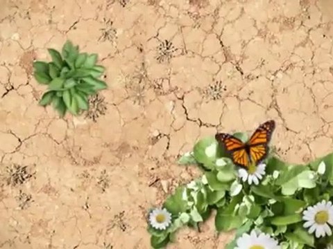 Cody Mulanax Concrete