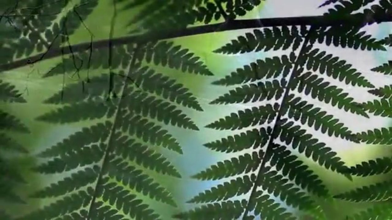 Valdi Sabev - Perfect Day -  Chil Out