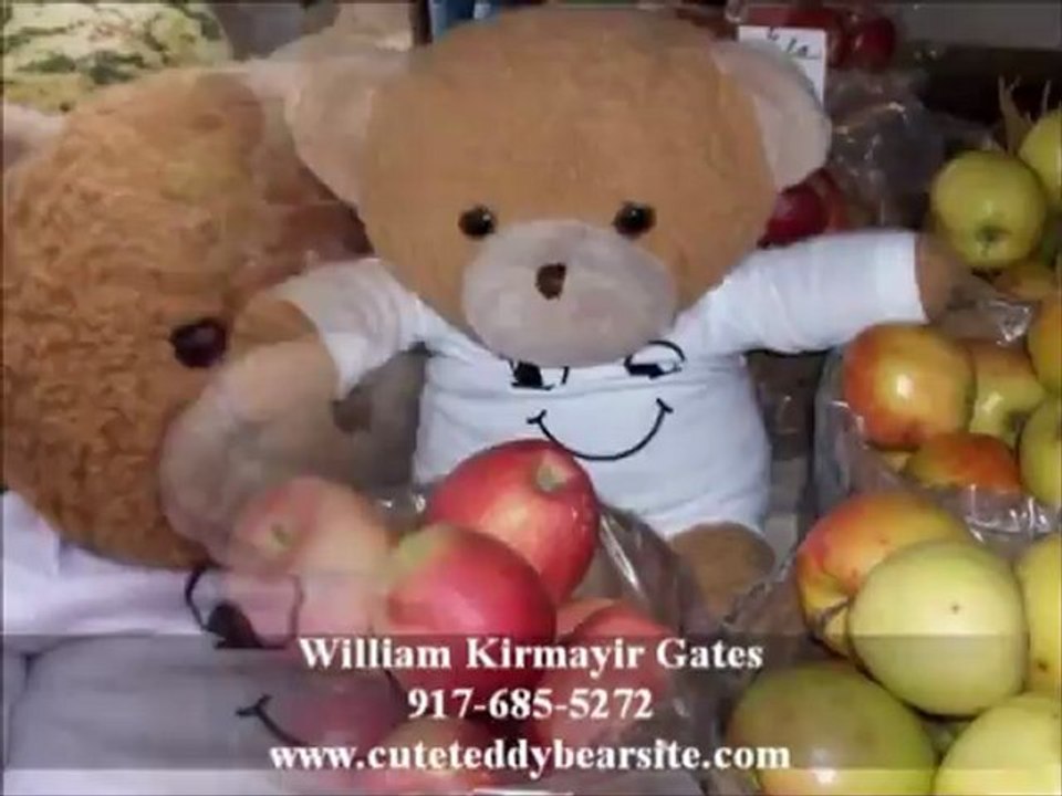 Teddy Bear Book