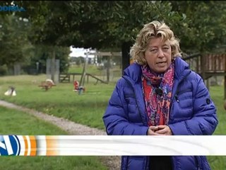 Het Weer [26-9-2012] - RTV Noord
