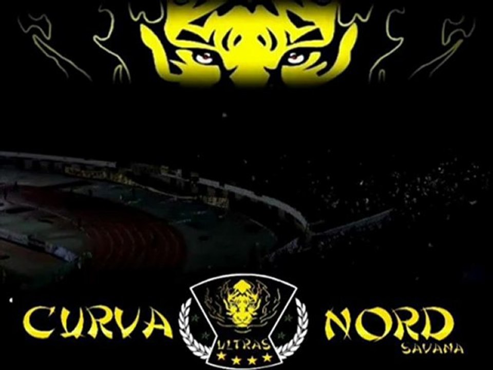 fatal tigers n7lef bel3ali - YouTube