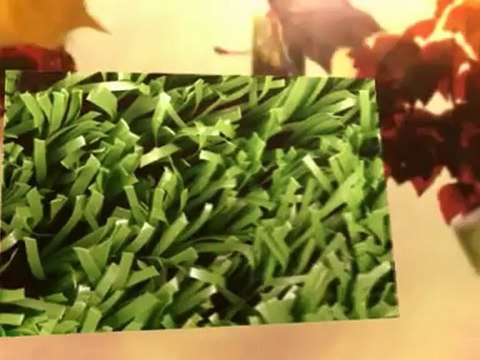 3 Flowers Lawn Service - (847) 219-3378