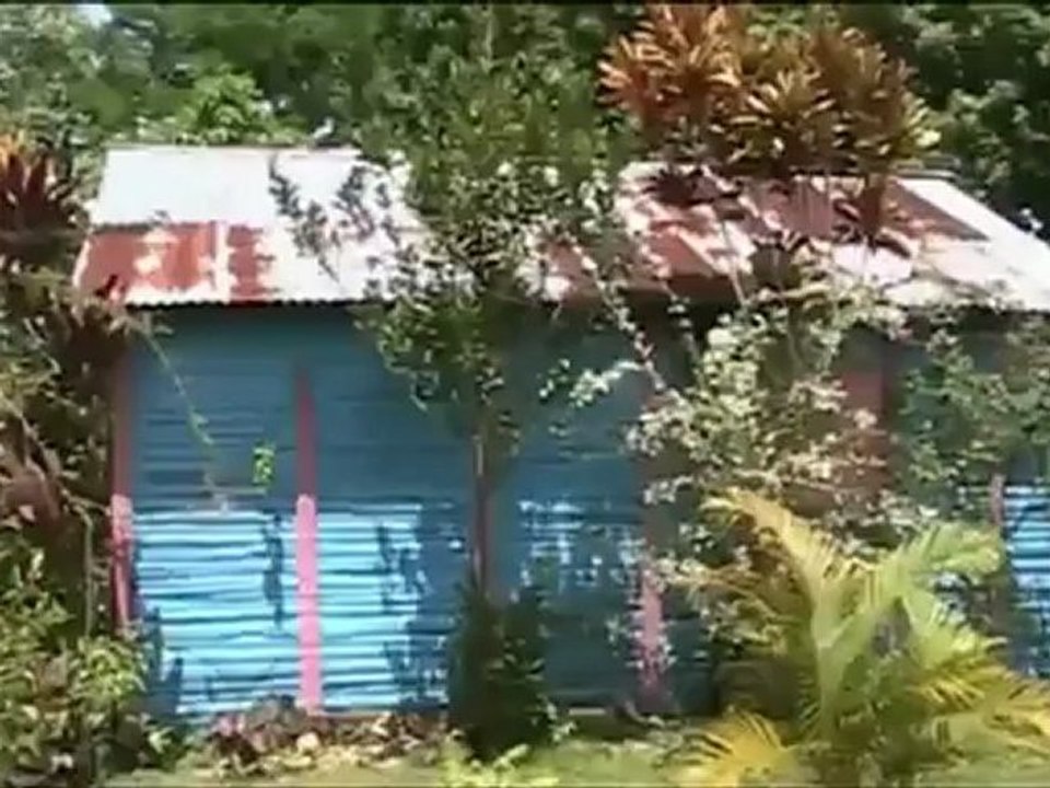 Excursions République Dominicaine (Boca Chica) : Safari Cascades