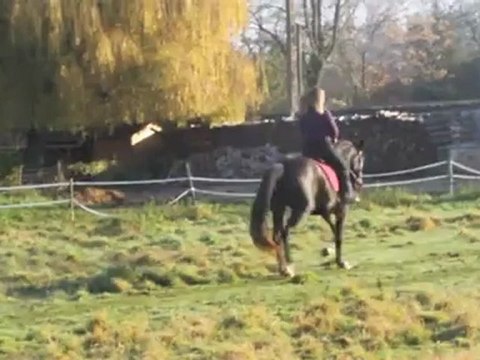 travail hiver 2011-2012 blog