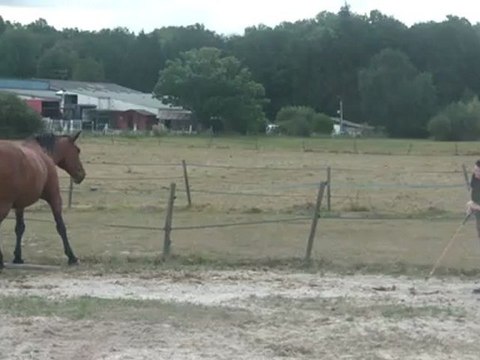 11.09.2012.f.liberte