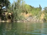 Ballade pédagogique sur l'Argens - la Nature en danger - septembre 2012