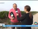 Journée UNESCO (Champagne-Ardenne Matin)