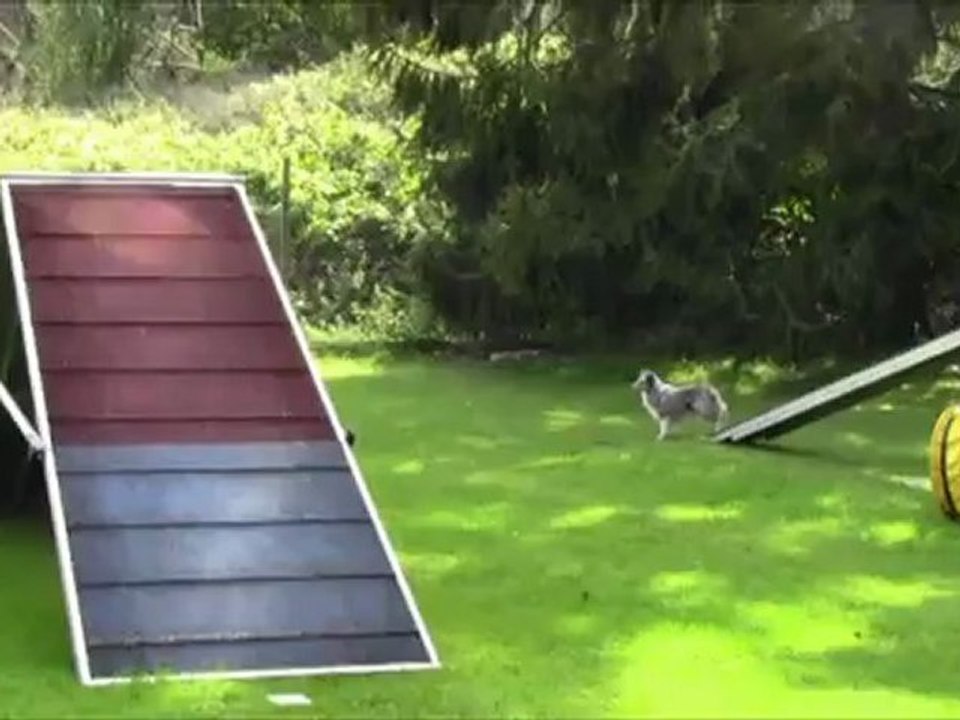 Kiwi Training 29.09.2012