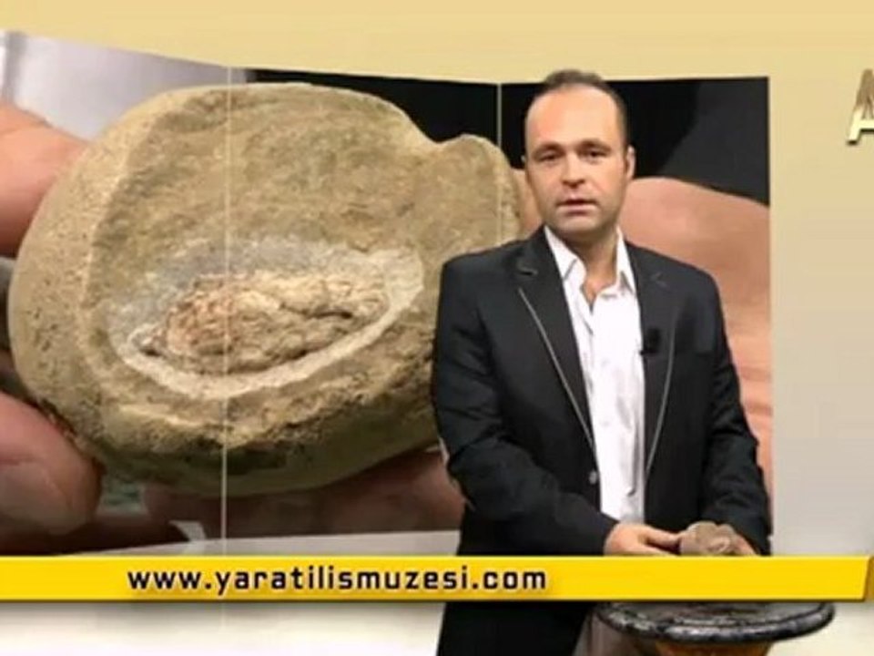 MİLYONLARCA YILDIR DEĞİŞMEYEN KOZALAKLAR