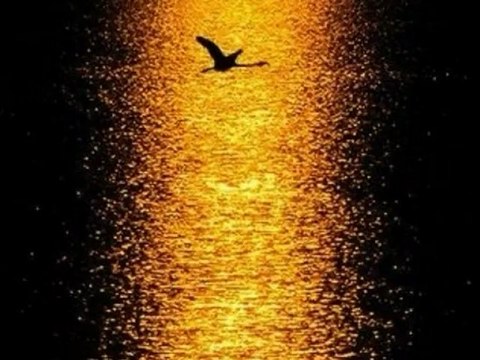 Ajda Pekkan - Severek Ayrılalım 2012 Orijinal Şarkı Orhan Gencebay İle Bir Ömür - [Yüksek Kalite]