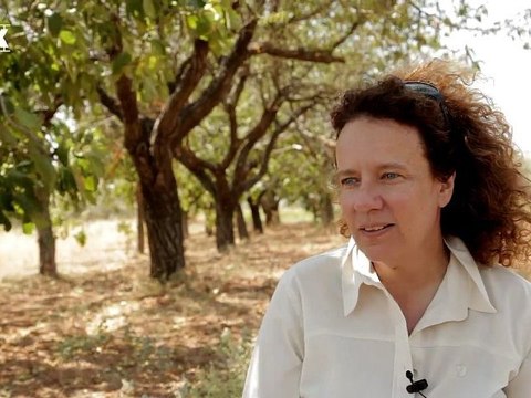 Το Flix στα γυρίσματα του Chess Games της Ολγας Μαλέα