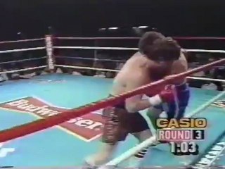 Matthew Hilton vs Paul Whittaker 1988-07-29