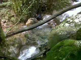 pêche au toc dans cet endroit majestueux