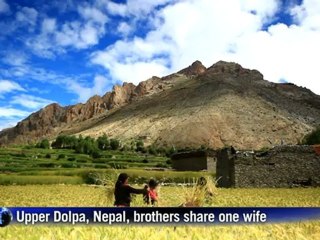 High in the Himalayas, brothers share one wife