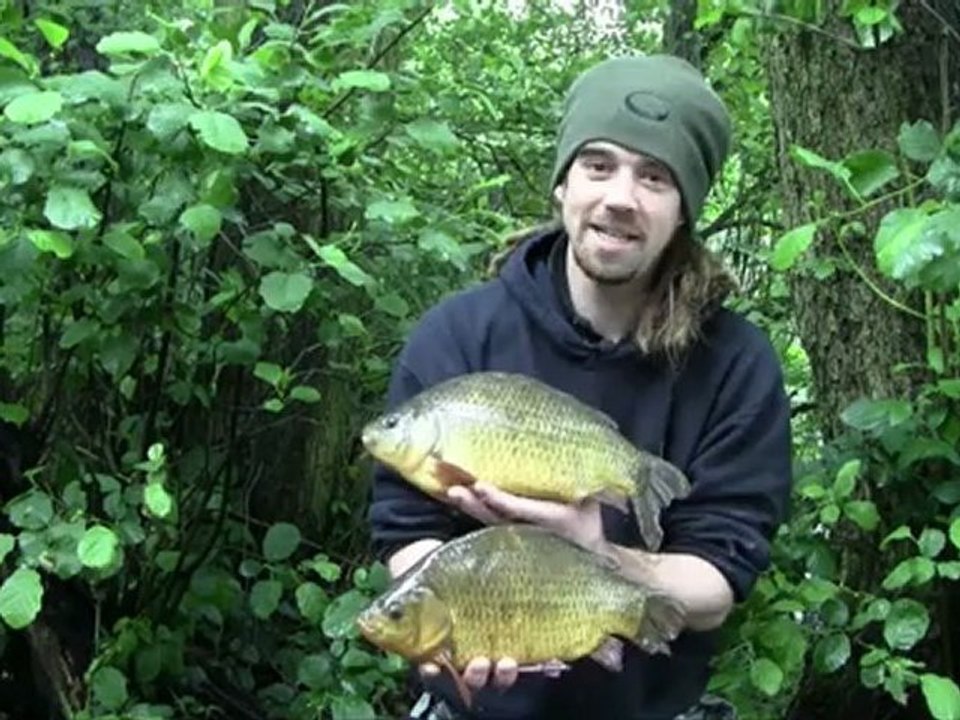 Crucian Carp Bait and Tactics Part 1