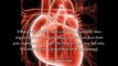 What Are The Symptoms Of Blocked Heart Arteries