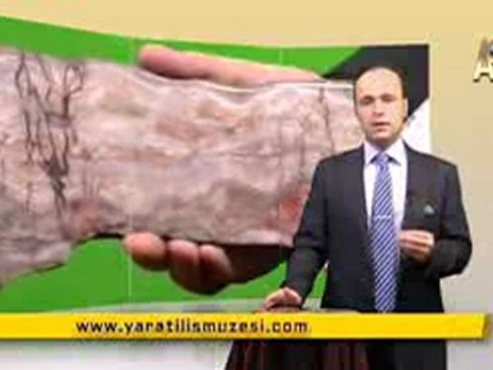 MİLYONLARCA YILDIR DEĞİŞMEYEN STROMATOLIT'LER