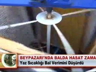 BEYPAZARI’NDA BALDA HASAT ZAMANI