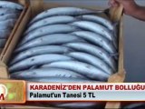 KARADENİZ’DEN PALAMUT BOLLUĞU