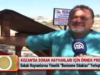 KOZAN’DA SOKAK HAYVANLARI İÇİN ÖRNEK PROJE