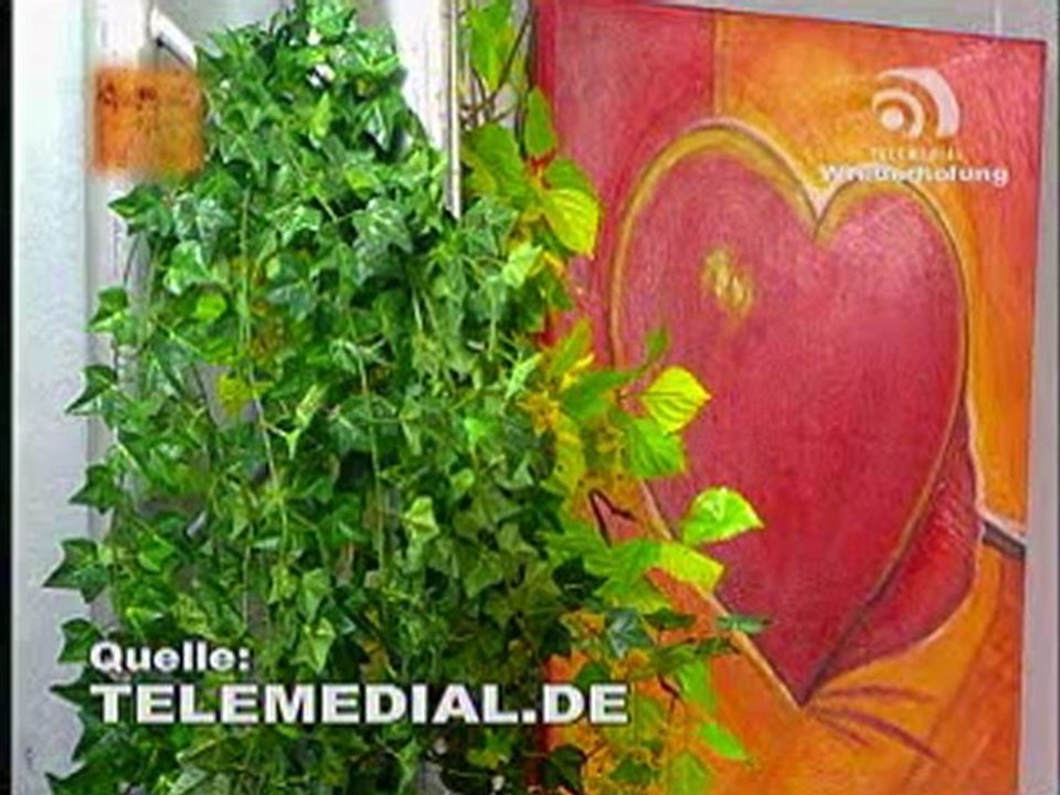 Kanal Telemedial - New Holy Kingdom 04 - December 12, 2008