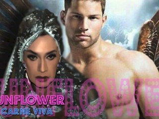 SUNFLOWER-EN CARNE VIVA