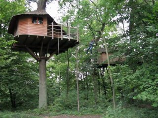 Retour en enfance, pour une nuit, dans une cabane nichée dans les arbres